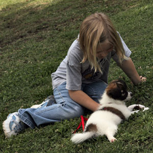 Girl With Puppy